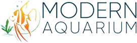 Modern Aquarium