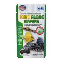 Hikari Pleco Algea Wafers